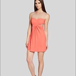 BCBG Maxazria Coral Mesh Illusion Mini Dress